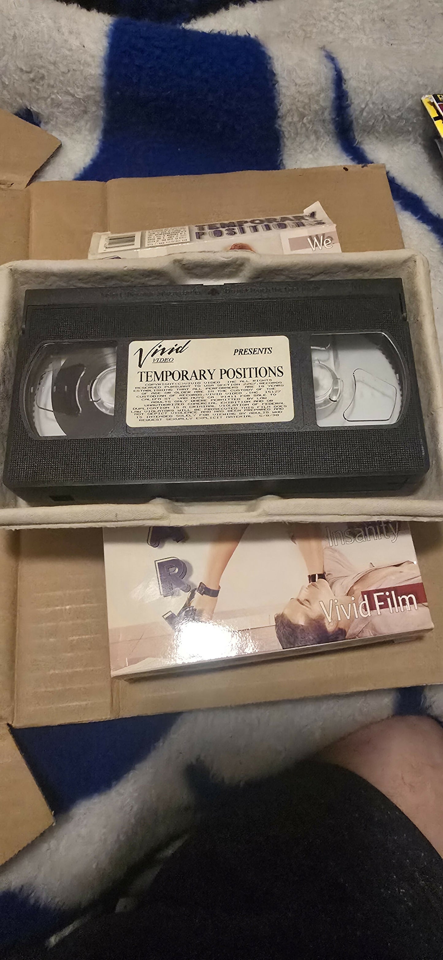 Temporary Positions (VHS) - Vivid Film - Starring Janine Lindemulder, Tricia Devereaux, Shanna McCullough & Johnni Black (1997)