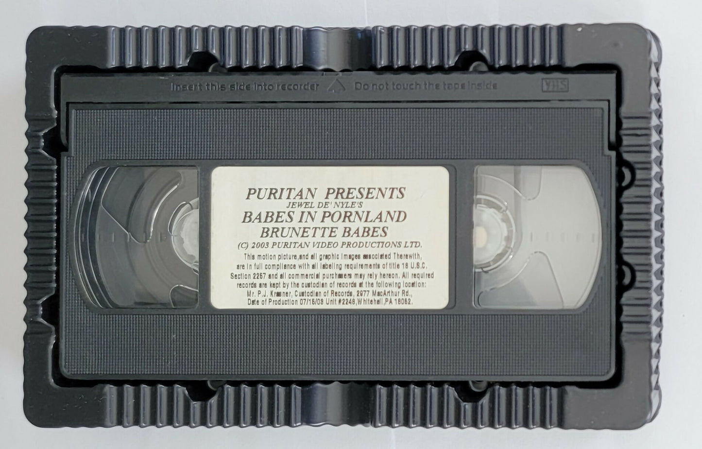 Babes in Pornland: Brunette Babes (2003) VHS