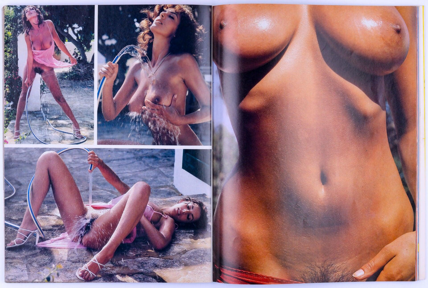 SWANK Vintage Softcore Adult Magazine 25th Anniversary Issue Vol. 28 No. 1 January 1981 - XXX Marketplace