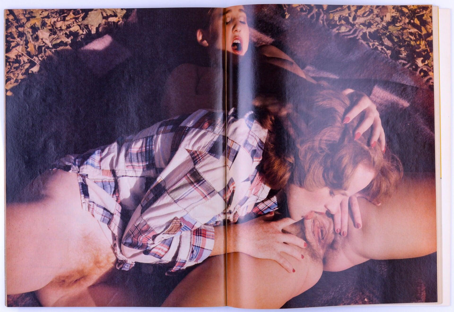 SIR! Vintage Softcore Adult Magazine Vol. 36 No. 1 June 1980 - Desiree Cousteau - XXX Marketplace