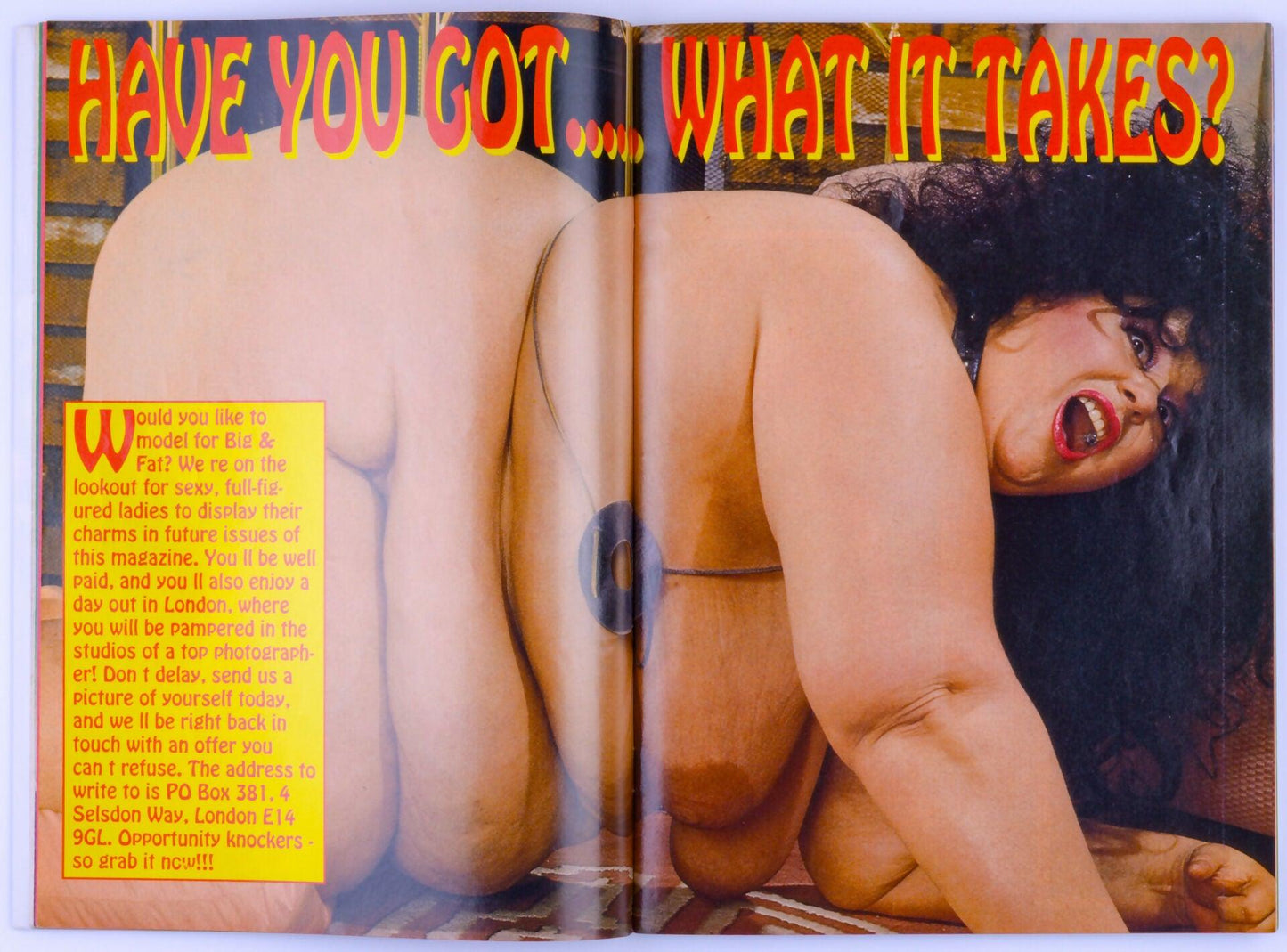 BIG & FAT 1995 Vol. 2 No. 11 Vintage Softcore BBW Magazine *Good* - XXX Marketplace