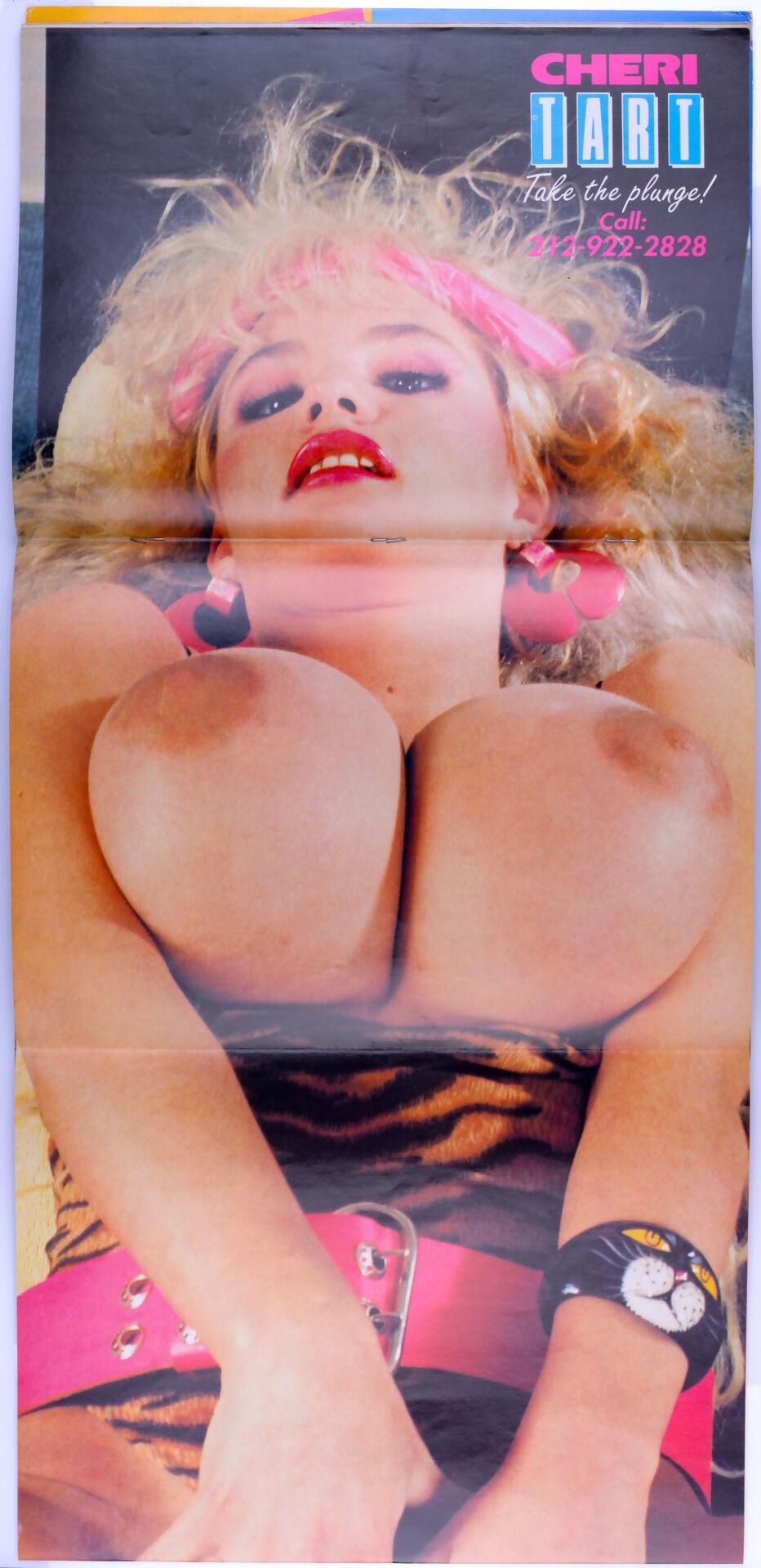 CHERI Vintage Softcore Adult Magazine Vol. 15 No. 2 September 1990 Includes 4 Page Poster, Porn Star Trading Cards - Gwen Gray - XXX Marketplace
