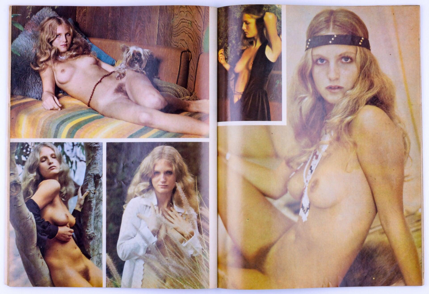Man's Pleasure November 1973 Vol. 3 No. 12 Vintage Softcore Magazine *Fair* - XXX Marketplace