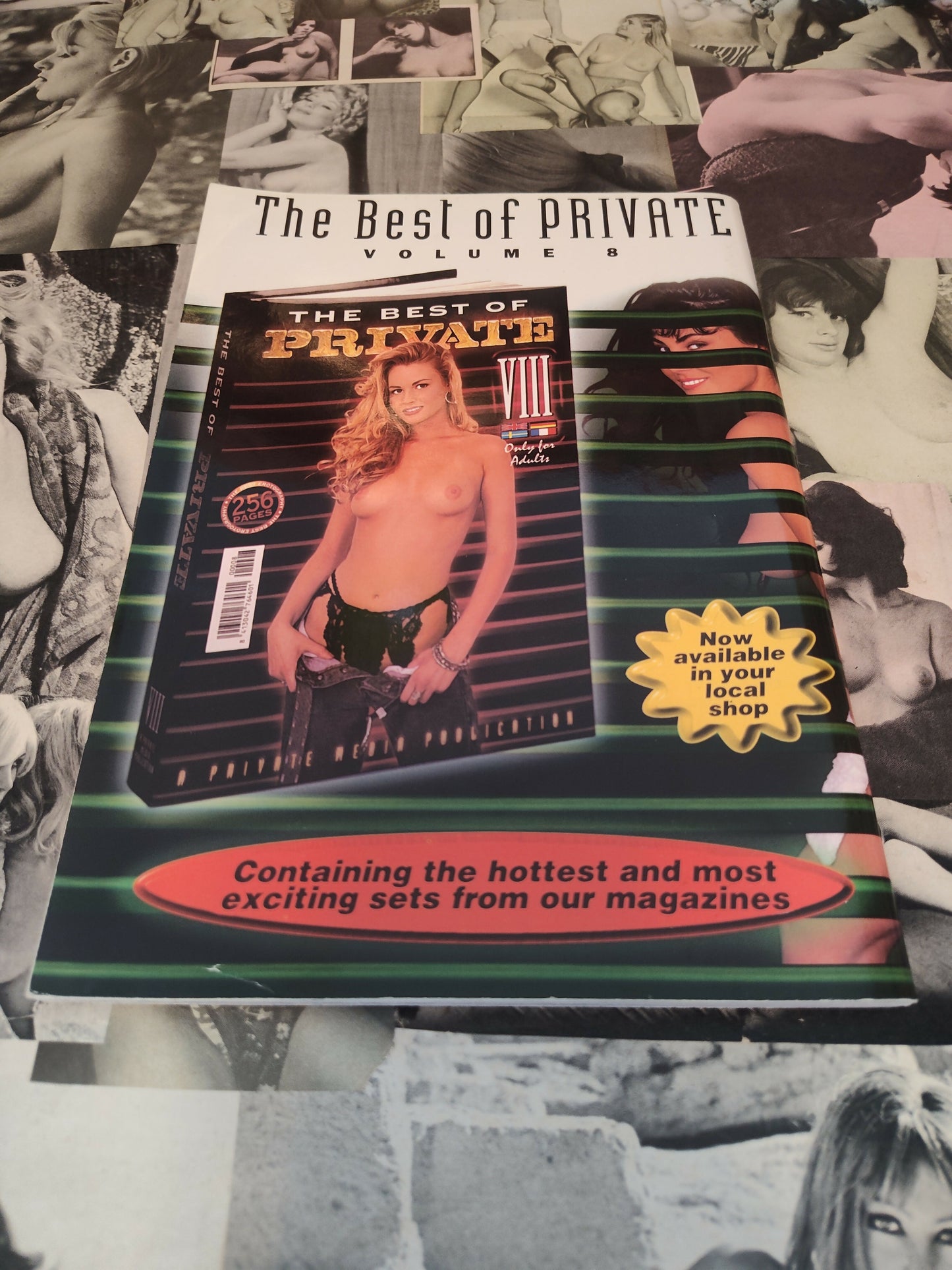 PIRATE NO.41 PRIVATE MEDIA EUROPEAN IMPORT MAGAZINES 1997