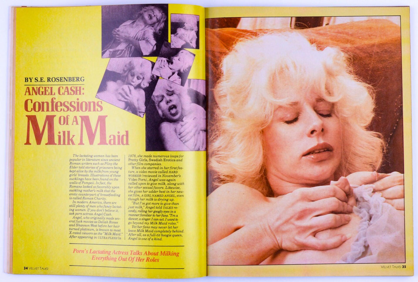 VELVET TALKS! EROTIC FILM GUIDE Softcore Vintage Adult Magazine Vol. 4 No. 3 March 1982 - XXX Marketplace