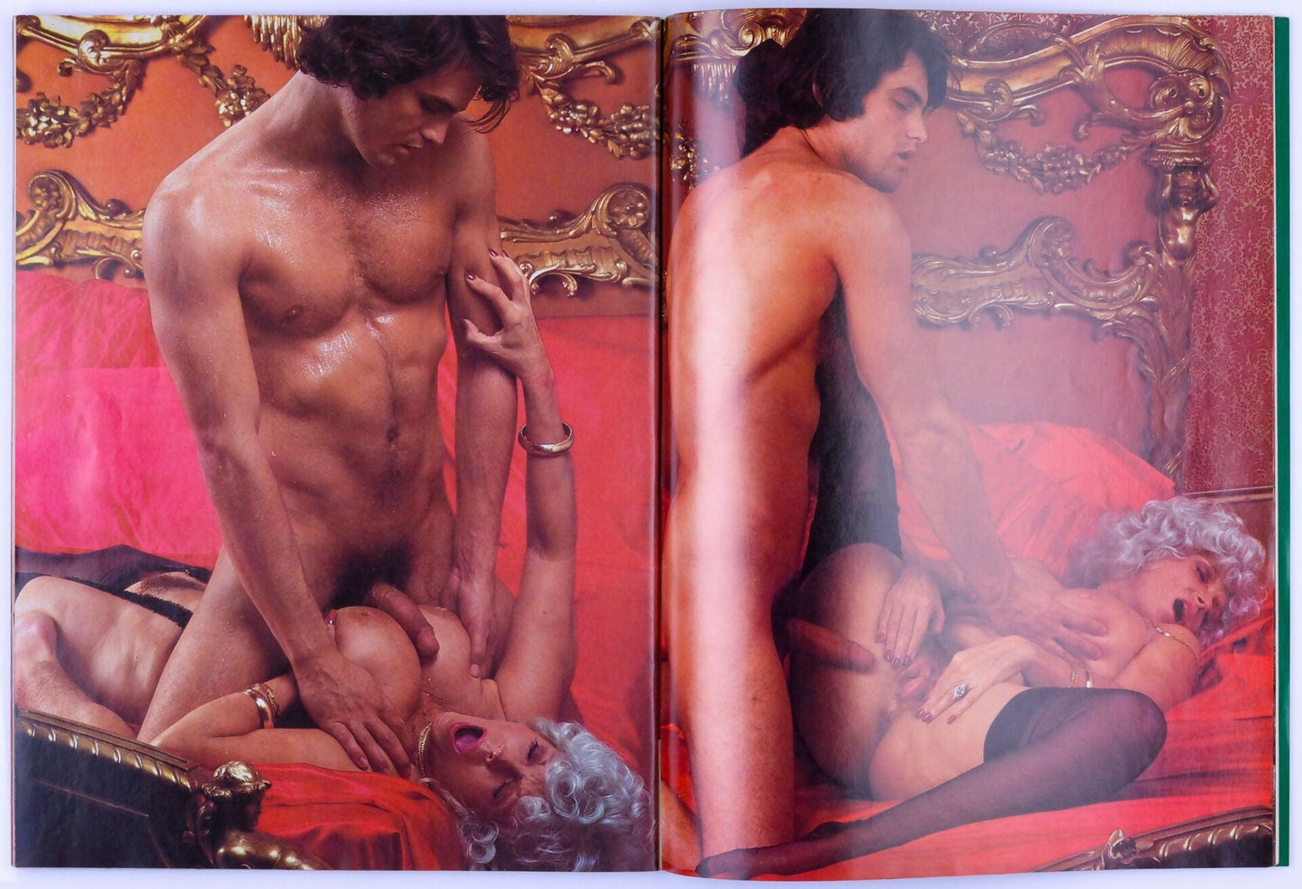 GENTELMAN'S COMPANION Vintage Softcore Adult Magazine Vol. 4 No. 6 October 1983 - XXX Marketplace