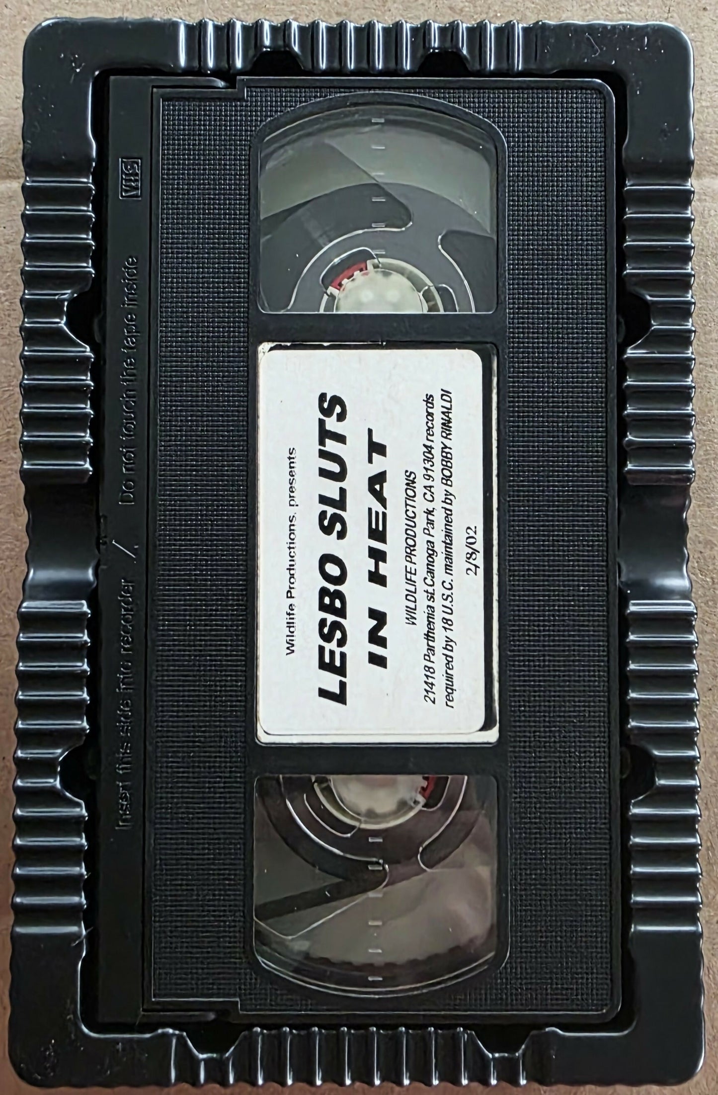Lesbo Sluts in Heat (2002) VHS
