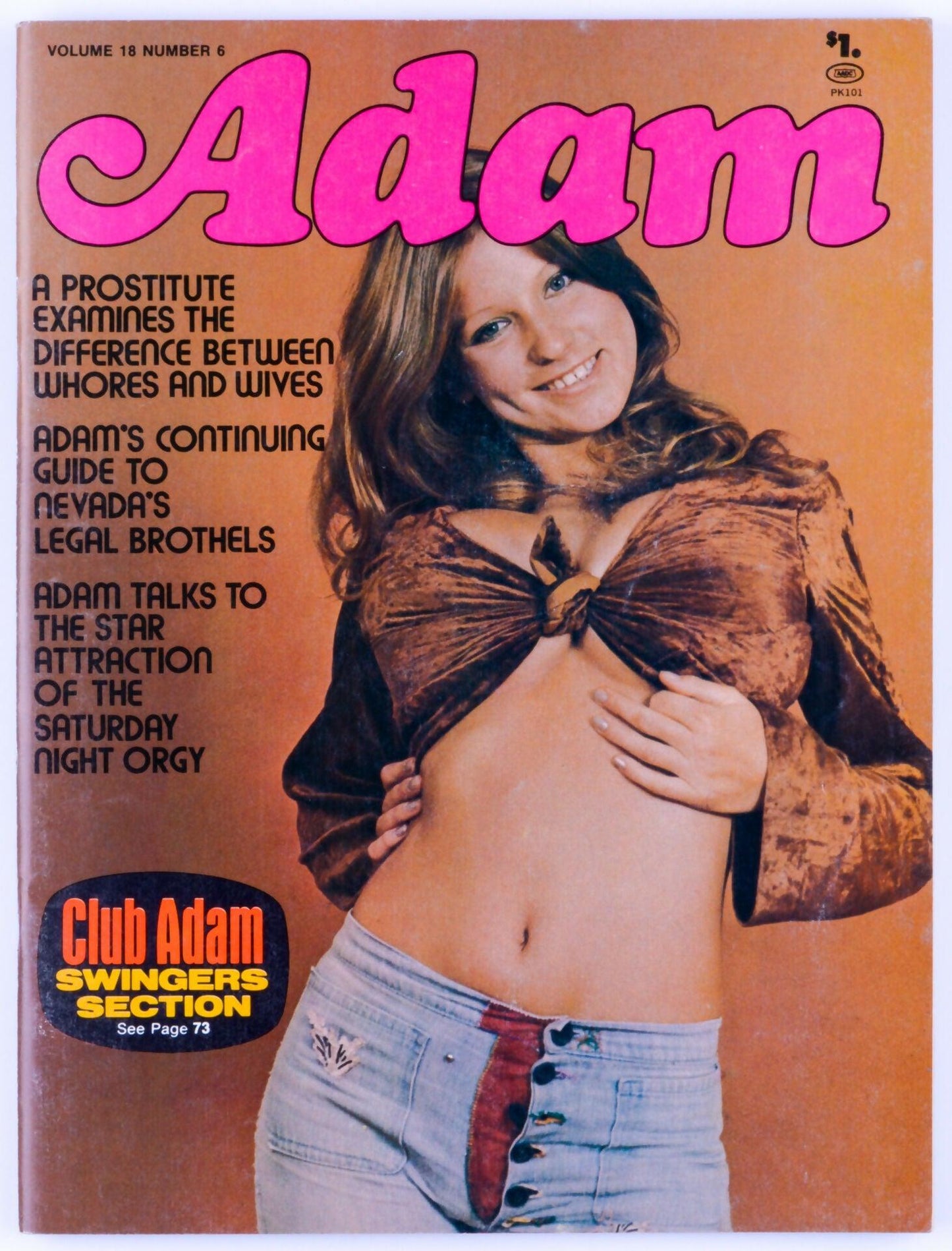 Adam July 1974 Vol. 18 No. 6 Vintage Softcore Magazine - Roberta Pedon Cover - XXX Marketplace