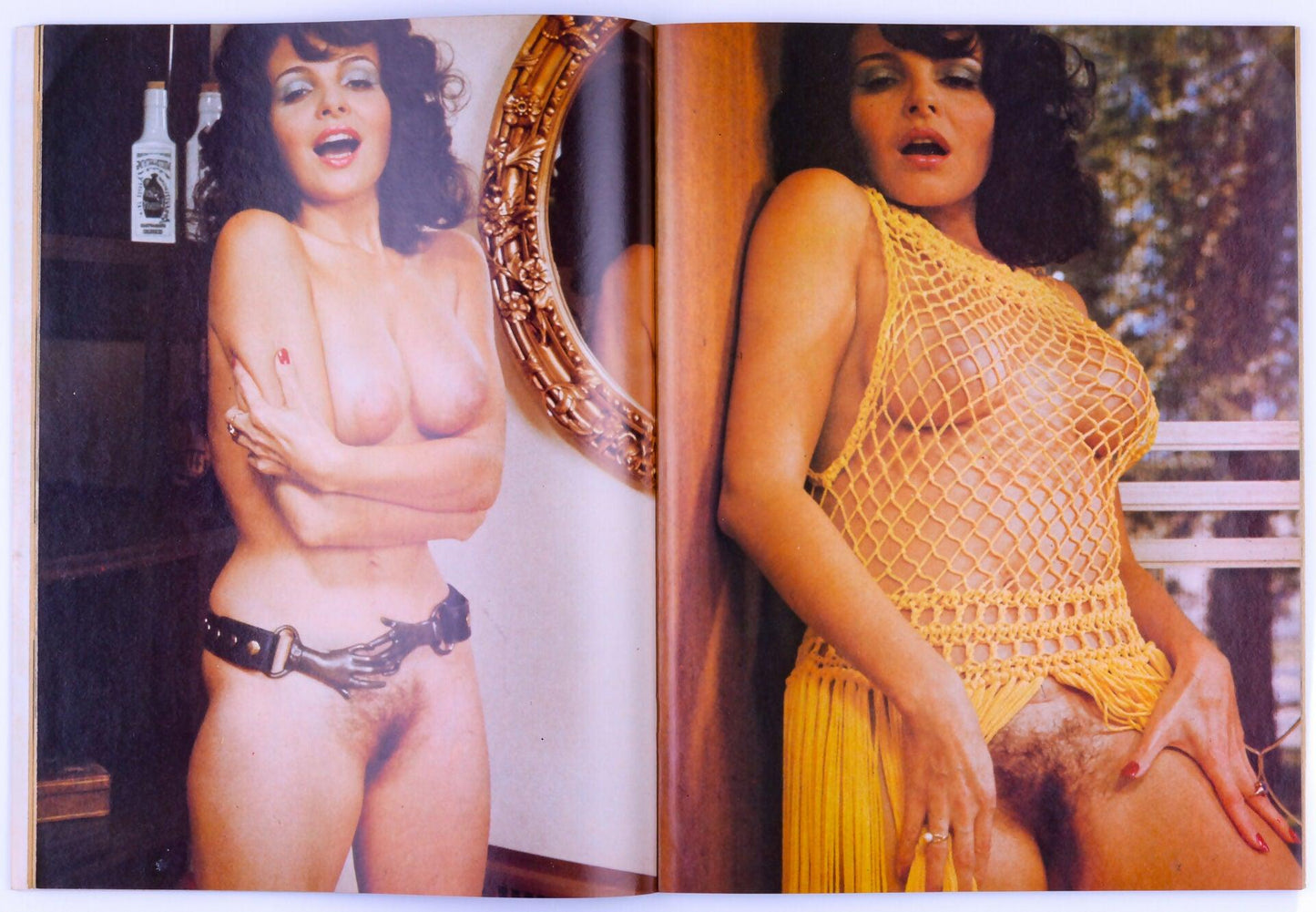 Man's Delight February 1975 Vol. 3 No. 2 Vintage Softcore Magazine *Fair* - XXX Marketplace