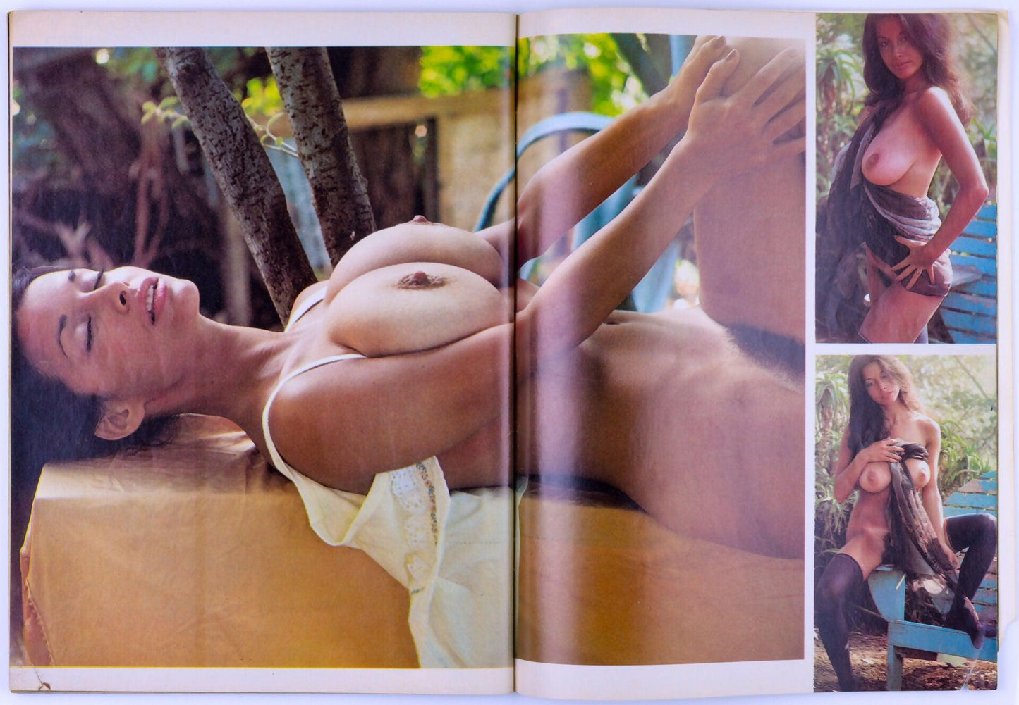 GENT Softcore Adult Big Tits Magazine Vol. 19 No. 6 December 1978 - Joyce Gibson, Candy Samples - XXX Marketplace