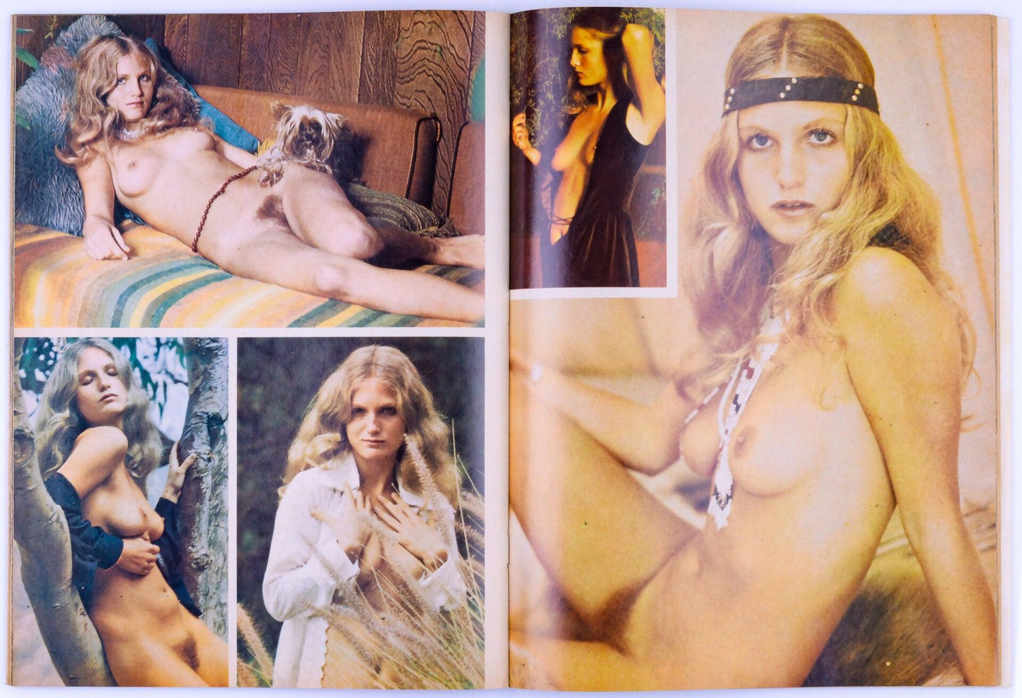 Man's Delight February 1975 Vol. 3 No. 2 Vintage Softcore Magazine *Fair* - XXX Marketplace