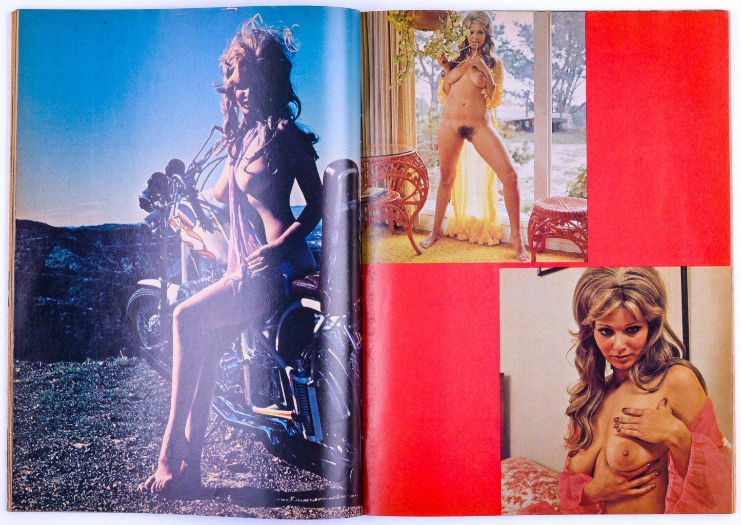 CAVALCADE Vintage Softcore Adult Magazine Vol. 14 No. 7 July 1974 - XXX Marketplace