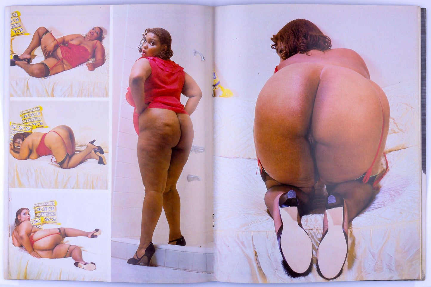 Chunky Asses Softcore Adult Magazine Vol. 2 No. 3 February, April, March 1985 - XXX Marketplace