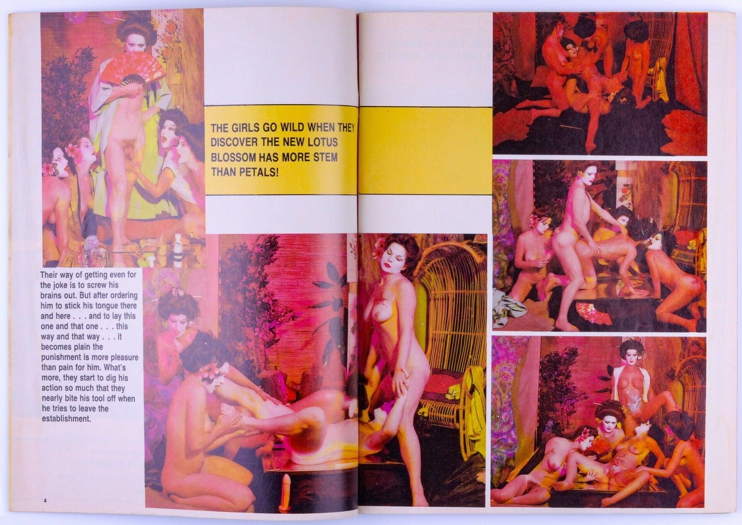 CAPER Vintage Softcore Adult Magazine Vol. 23 No. 1 February 1981 - XXX Marketplace
