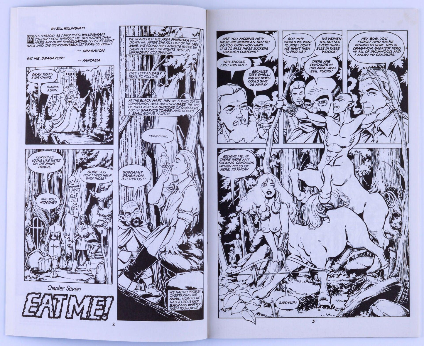 IRONWOOD Adult Comic Book No. 7 March 1992 By Bill Willingham EROS COMIX - XXX Marketplace