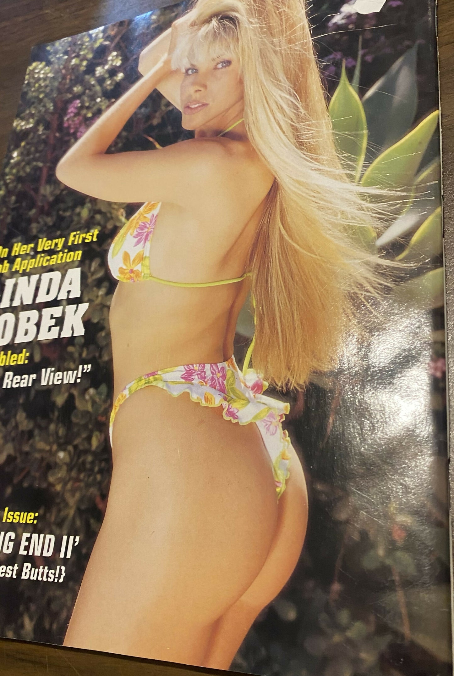 Celebrity Sleuth Volume - 14 #6