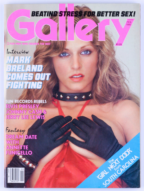 GALLERY February 1985 Vol. 13 No. 2 Softcore Vintage Adult Magazine - Annette Funicello