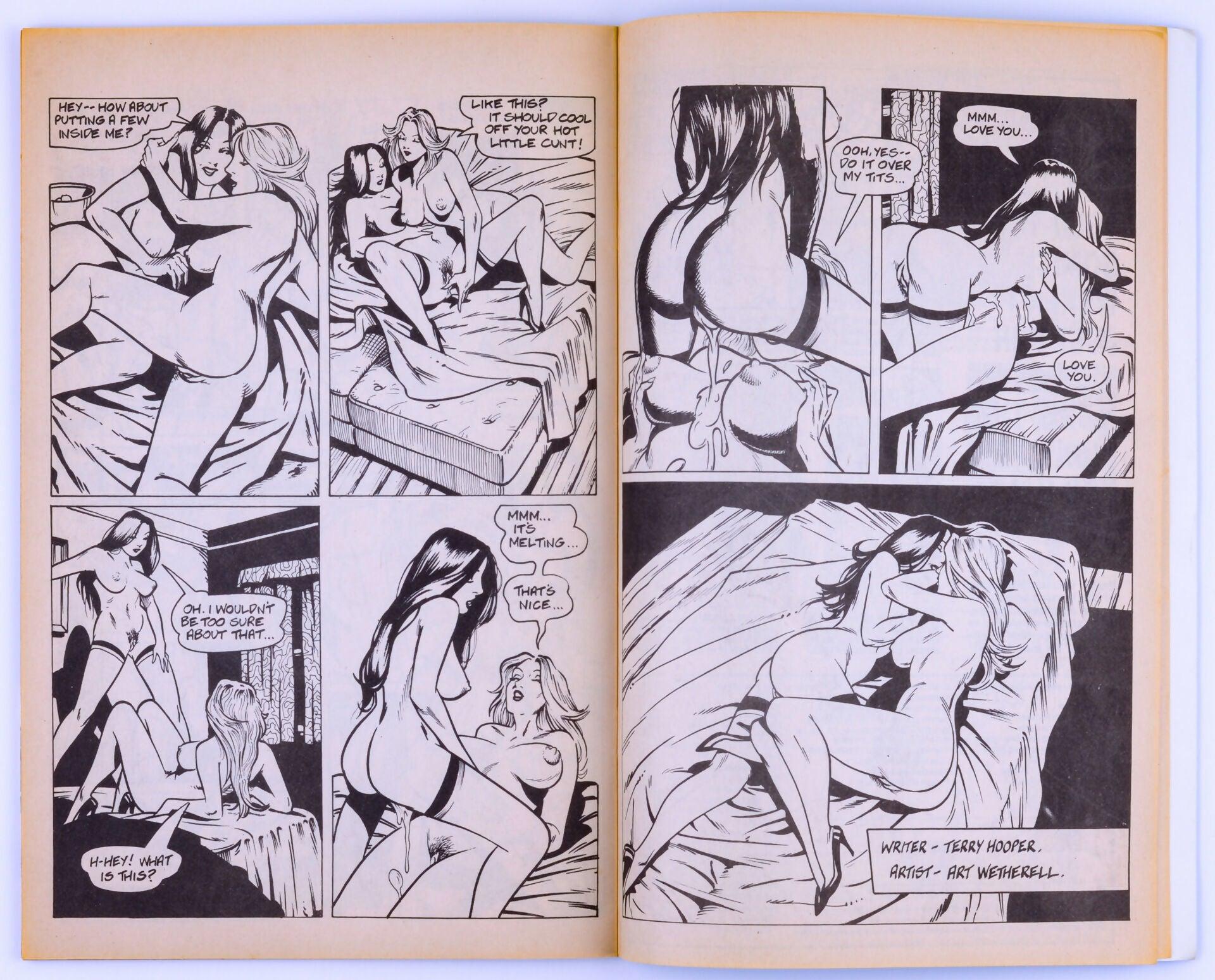 2 HOT GIRLS on a Hot Summer Night Issue 1 1991 By Terry Hooper & Art Wetherell EROS Comix Lesbian Adult Comic Book - XXX Marketplace