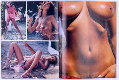 SWANK Vintage Softcore Adult Magazine 25th Anniversary Issue Vol. 28 No. 1 January 1981 - XXX Marketplace