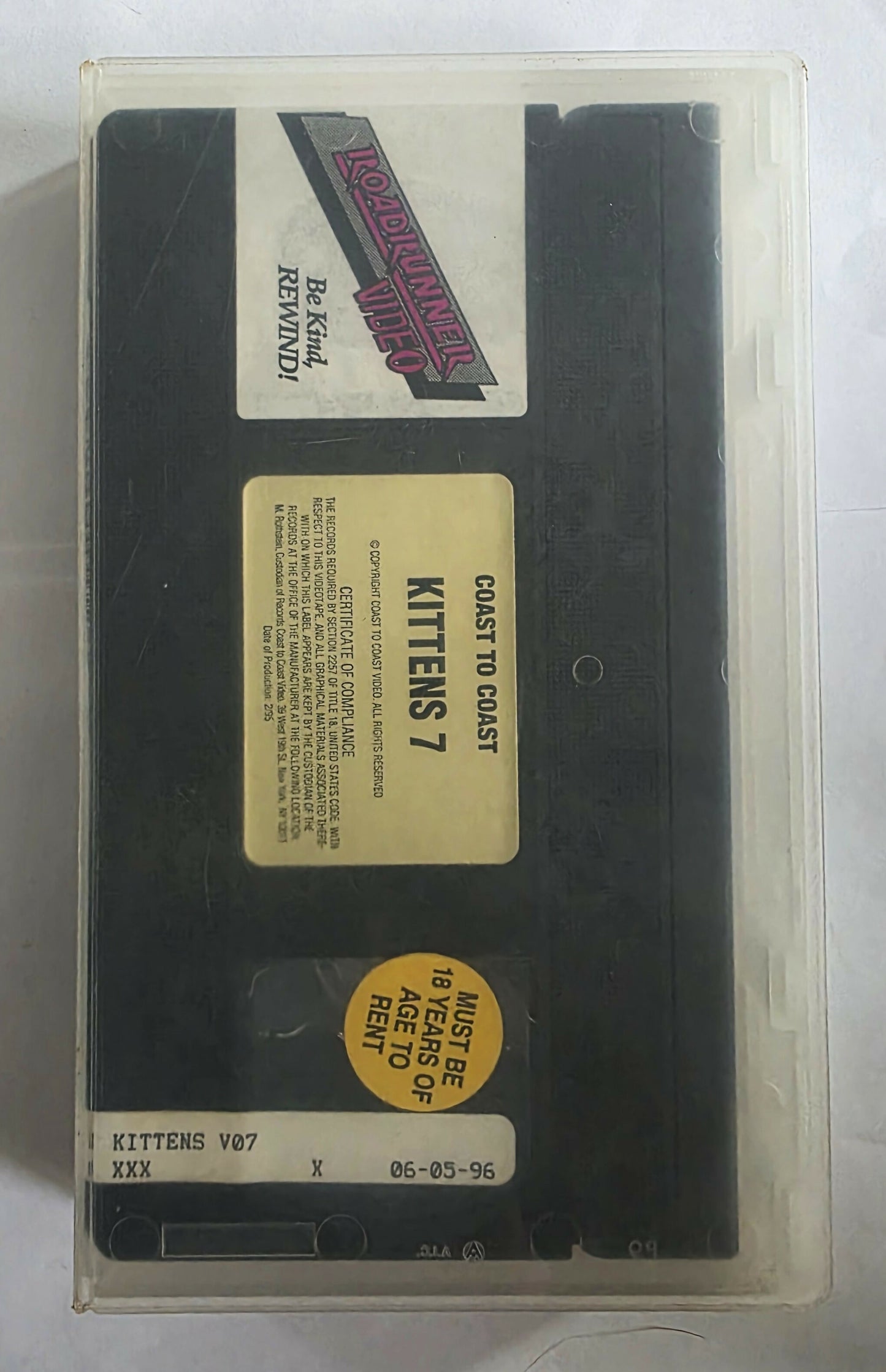 Kittens 7: Kitten Go To School (1995) VHS