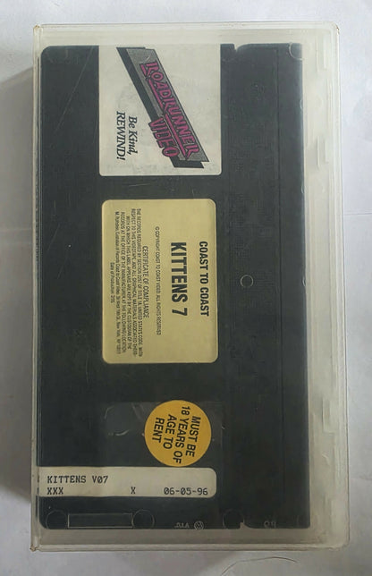 Kittens 7: Kitten Go To School (1995) VHS