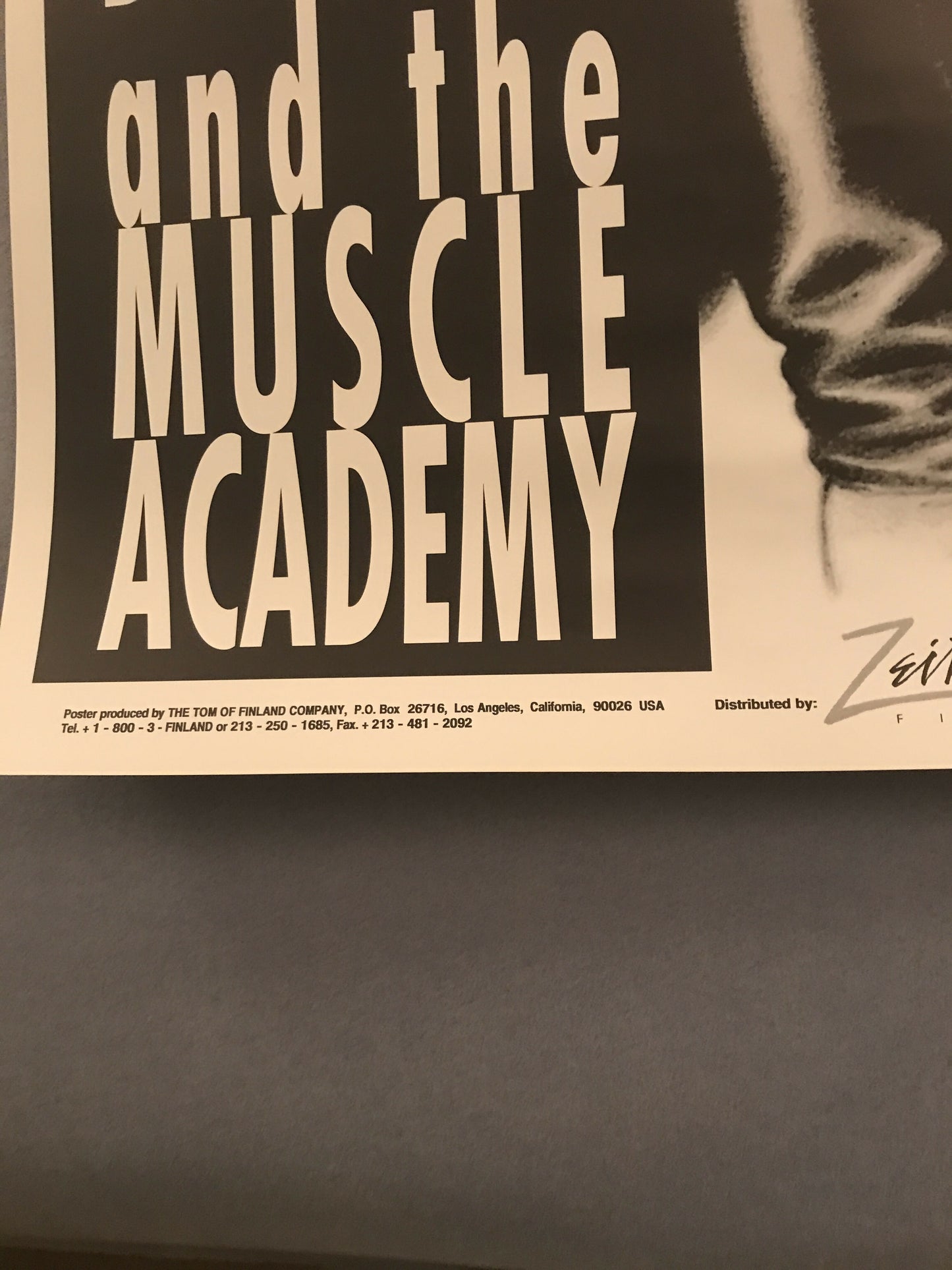 Tom of Finland "Daddy and the Muscle Academy" Original 1991 Movie Poster