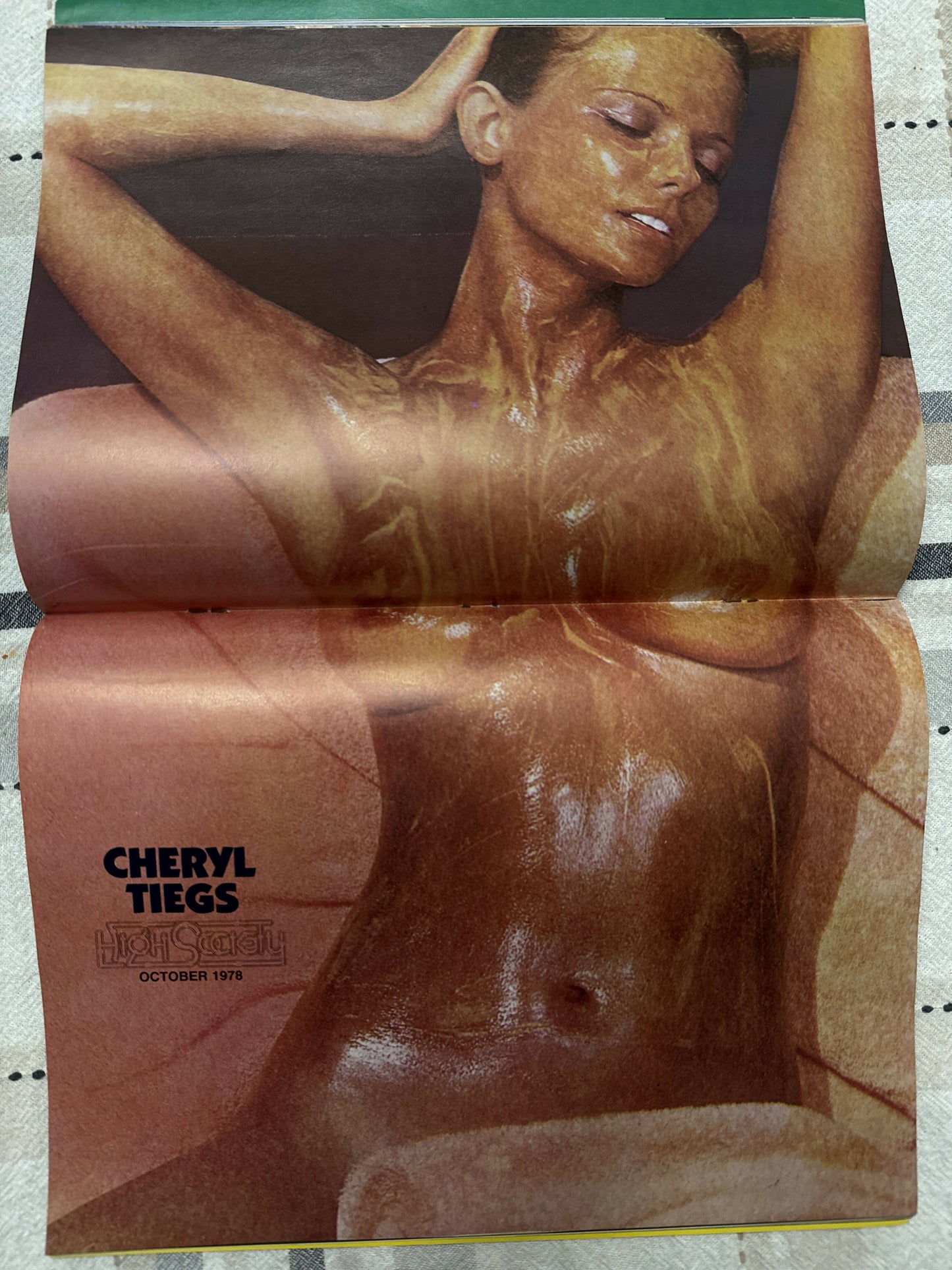 High Society 1978, Cheryl Tiegs