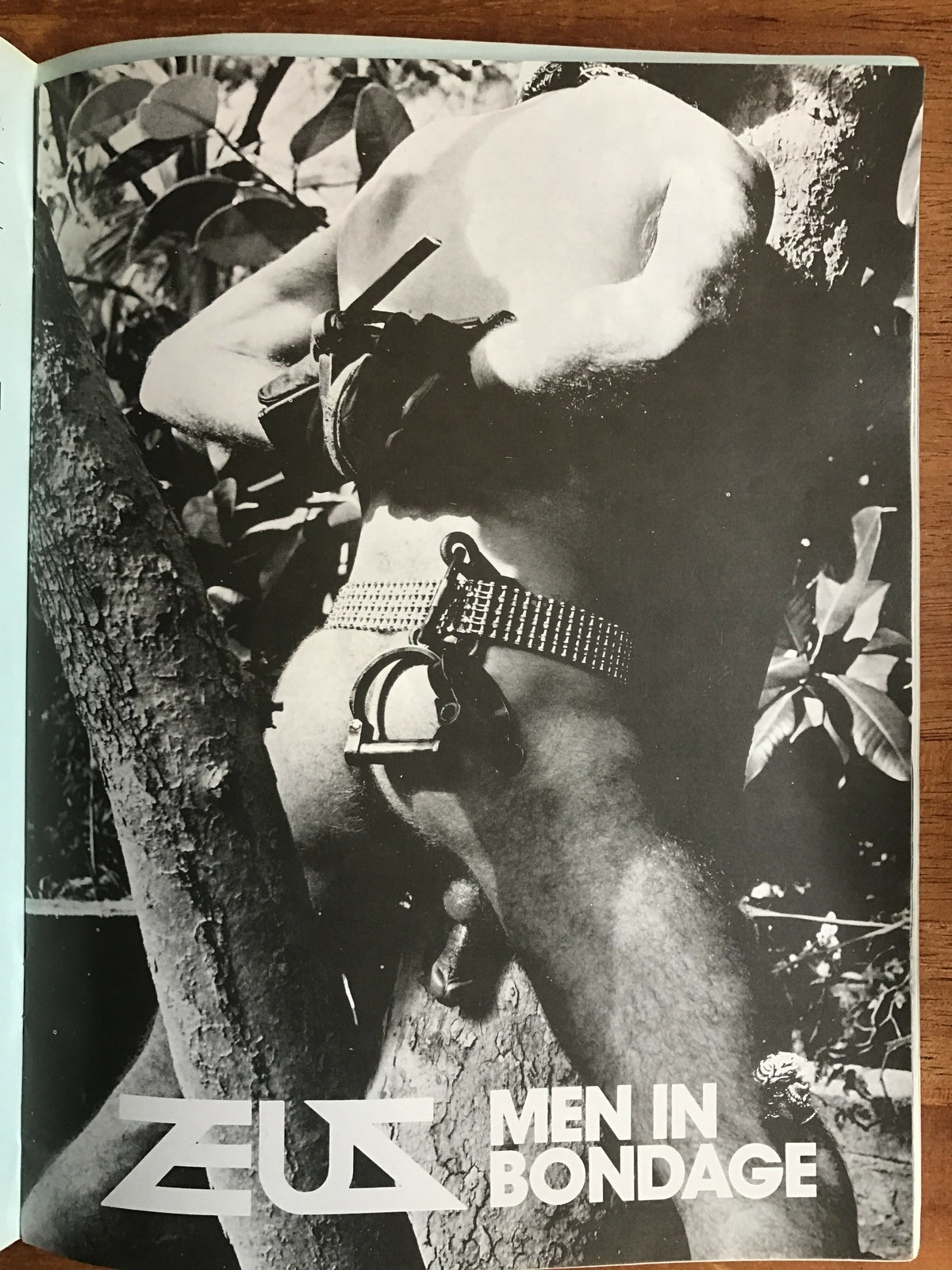 Drummer #30 Gay Men's Leather Magazine 1978 Zeus Men of Bondage Poster