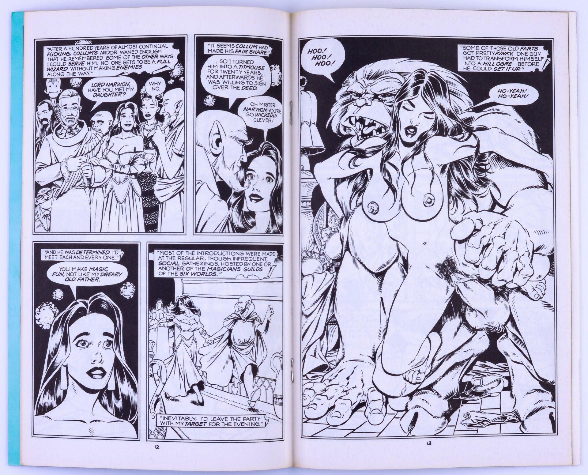 IRONWOOD No. 6 November 1991 By Bill Willingham EROS Comix Fantasy Adult Comic Book - XXX Marketplace