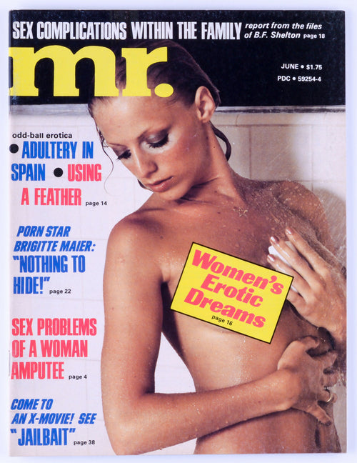 Mr. June 1977 Vol. 21 No. 7 Vintage Softcore Adult Magazine - Trifold Poster, Sue Wong