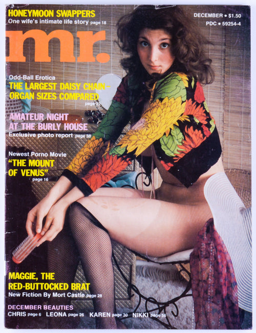 Mr. December 1975 Vol. 20 No. 2 Softcore Vintage Adult Magazine - Trifold Poster