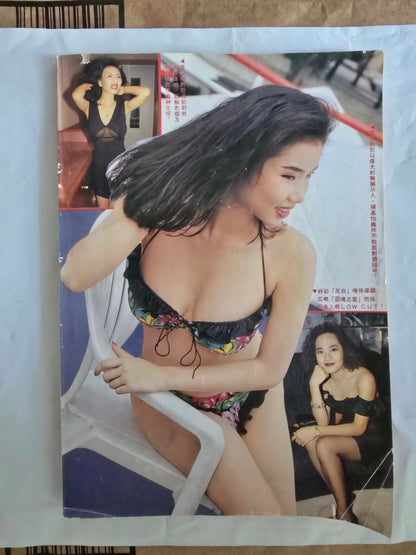 Paladine Magazine March 1991 - Issue 102