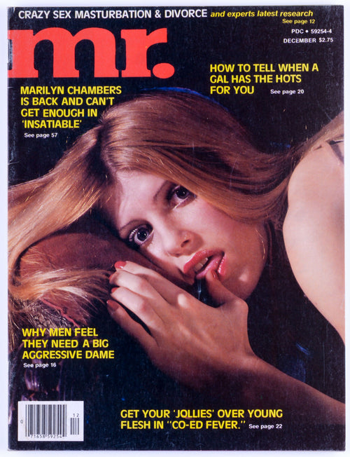 Mr. December 1980 Vol. 24 No. 2 Vintage Softcore Adult Magazine - Rhapsody Trifold Poster, Marilyn Chambers