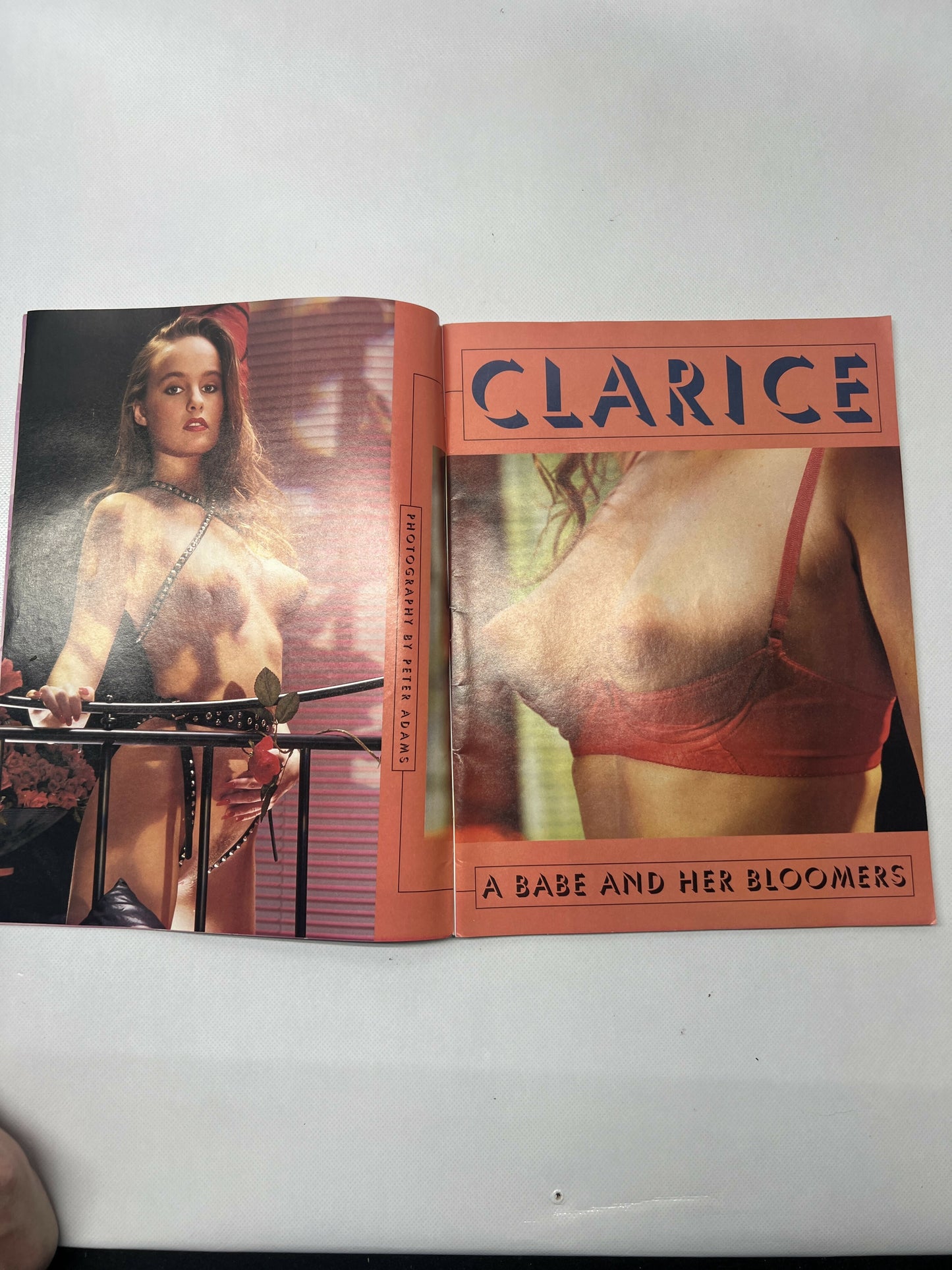 Hustlers Barely Legal Magazine