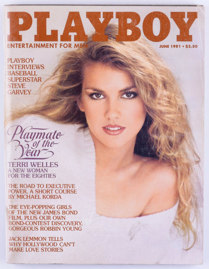 PLAYBOY ENTERTAINMENT FOR MEN MAGAZINE FOR MEN June 1981 - Cathy Larmouth Trifold Poster, PMOY Terri Welles
