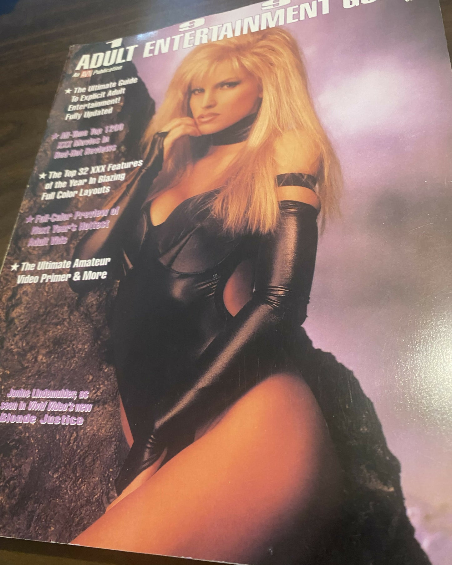 Adult Entertainment Guide 1993