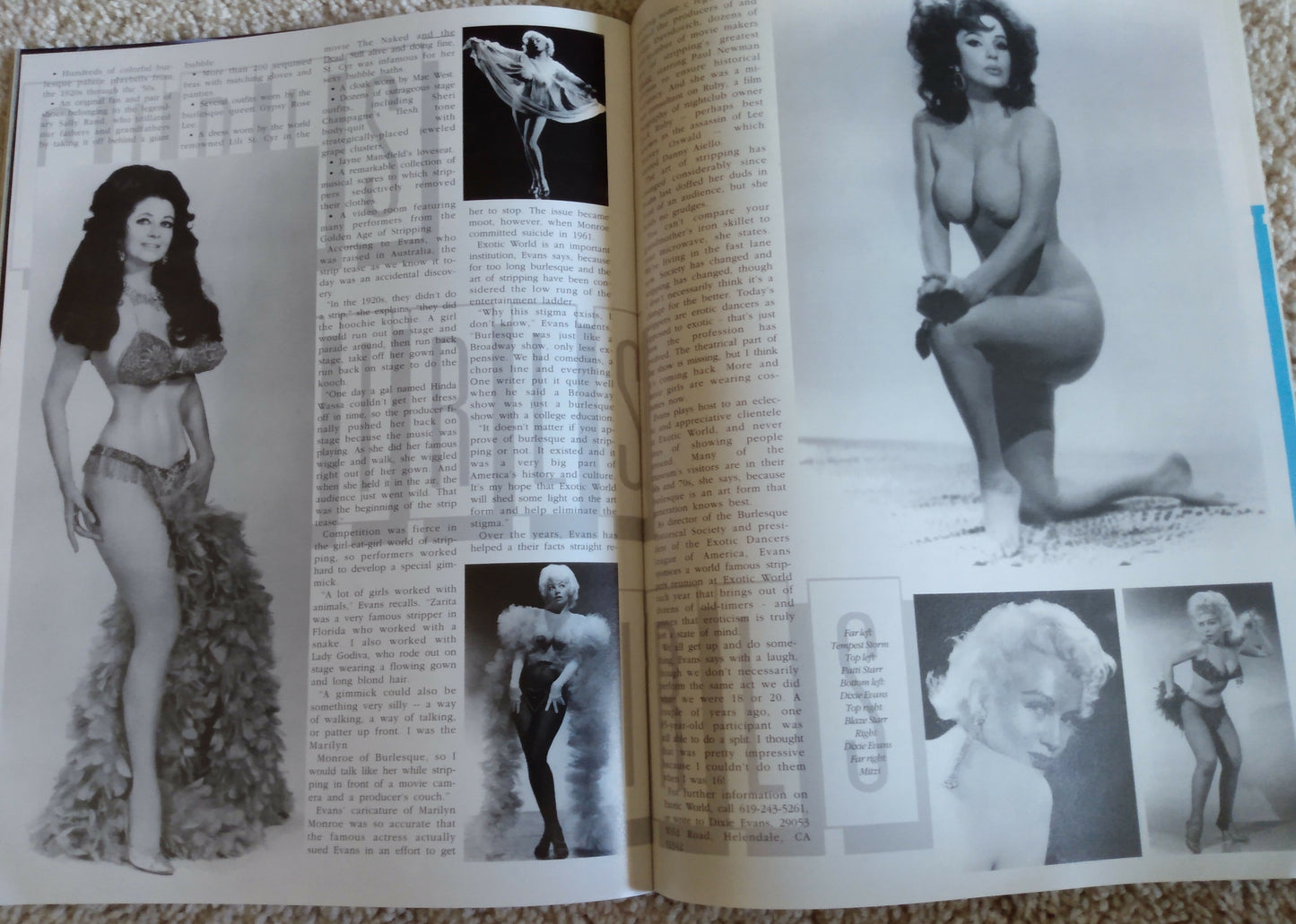 Draculina 29 Magazine