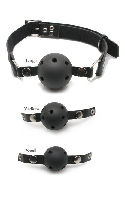 "Fetish Fantasy Series Ball Gag Training System PD3841-00"