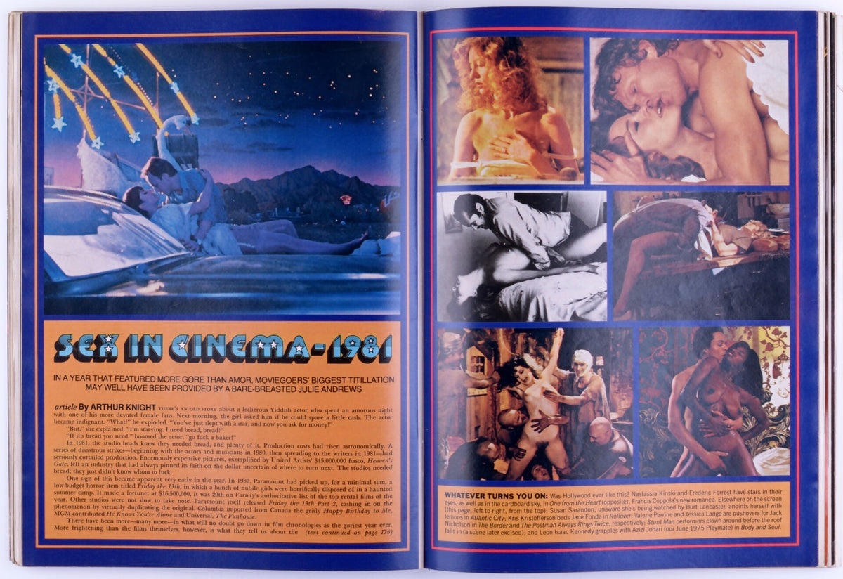 PLAYBOY ENTERTAINMENT FOR MEN MAGAZINE FOR MEN November 1981 - Shannon Lee Tweed Trifold Poster, Vikki La Motta