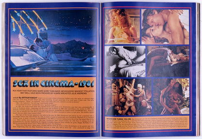 PLAYBOY ENTERTAINMENT FOR MEN MAGAZINE FOR MEN November 1981 - Shannon Lee Tweed Trifold Poster, Vikki La Motta