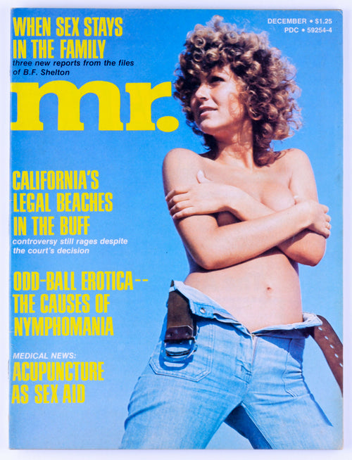 Mr. December 1974 Vol. 19 No. 2 Vintage Softcore Adult Magazine - Trifold Poster