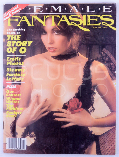 Female Fantasies Fall 1981 Vol. 2 No. 4 Vintage Softcore Adult Magazine - Barbara Bell