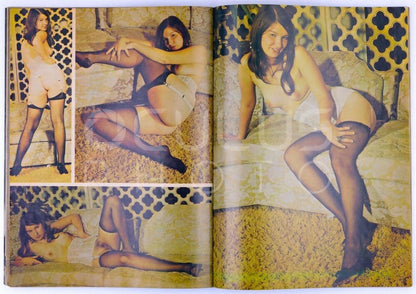 CLIMAX SPECIAL SUPERTEEN ISSUE Vintage Softcore Adult Teen Magazine July 1973 - Dawn Harris, Christine Shaffen *Poor To Fair* - XXX Marketplace