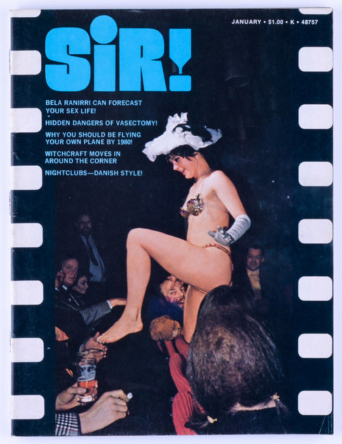 SIR! January 1973 Vol. 29 No. 2 Vintage Softcore Adult Magazine - Trifold Poster, Gabriele Heitman, Andrea Bregar, Pollyann Roberts, Camille Izaid