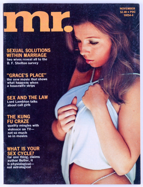 Mr. November 1973 Vol. 18 No. 4 Vintage Softcore Adult Magazine - Sharon Kelley Trifold Poster, Linda Clifton, Katrina Kallen, Ann Calhoun