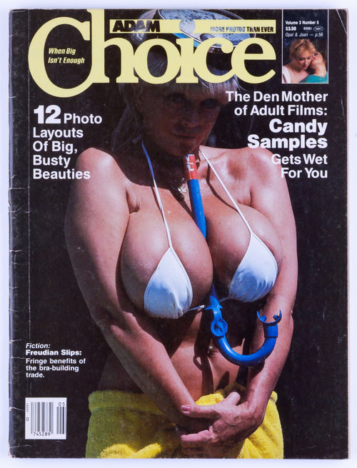 ADAM Choice April 1986 Vol. 3 No. 5 Vintage Softcore Adult Big Tits Magazine - Candy Samples
