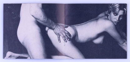 *Rare* Ellen Gets Gangbanged 4" x 3.5" Hardcore Booklet 10 Pages Unknown Publication Date (Not Actually A Gangbang) - XXX Marketplace