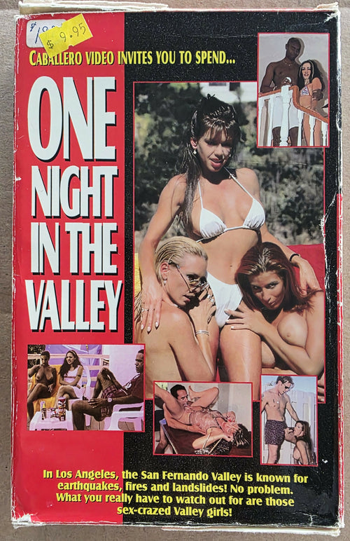 One Night in the Valley (1997) VHS