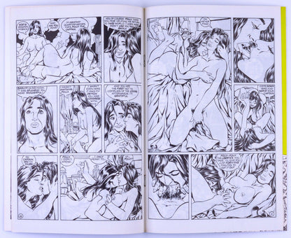 IRONWOOD No. 2 March 1991 By Bill Willingham EROS Comix Fantasy Adult Comic Book - XXX Marketplace