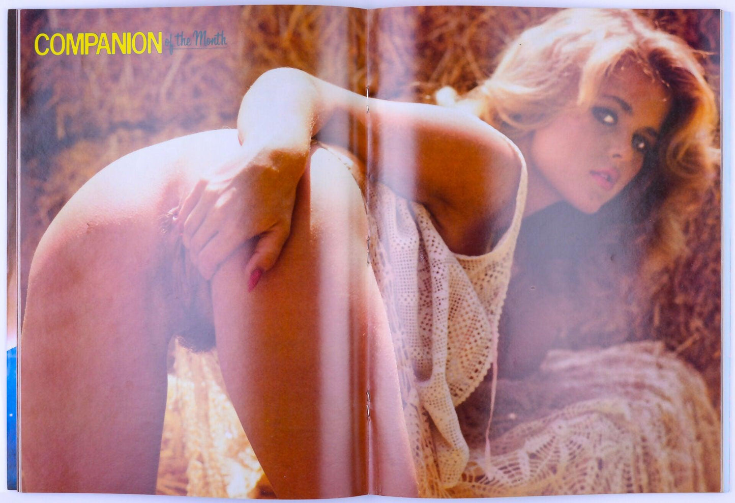 GENTELMAN'S COMPANION Vintage Softcore Adult Magazine Vol. 5 No. 6 October 1984 - XXX Marketplace